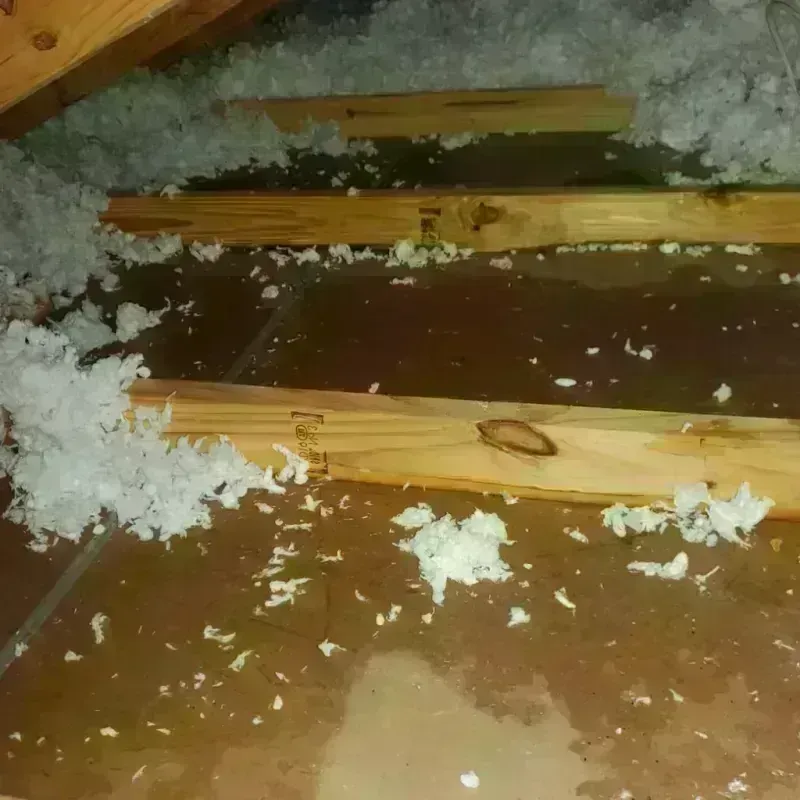 Attic Water Damage in Lubbock, TX