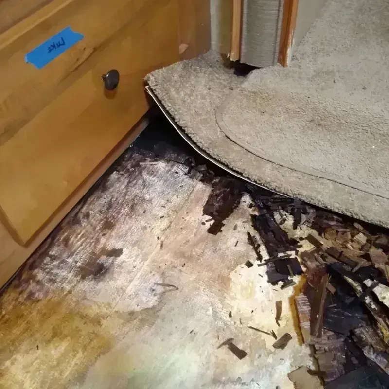 Wood Floor Water Damage in Lubbock, TX